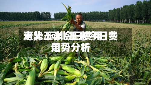 河北玉米今日费用走势/河北玉米今日费用走势分析