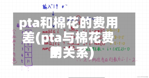 pta和棉花的费用差(pta与棉花费用的关系)-第3张图片