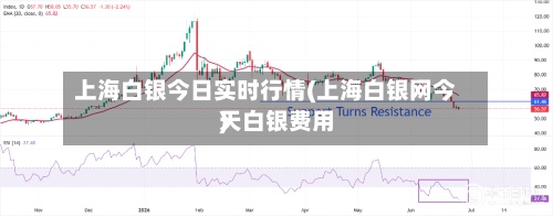 上海白银今日实时行情(上海白银网今天白银费用
)-第3张图片