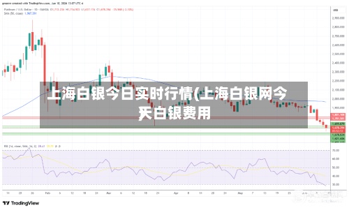 上海白银今日实时行情(上海白银网今天白银费用)