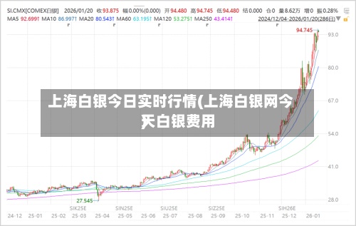 上海白银今日实时行情(上海白银网今天白银费用
)-第2张图片
