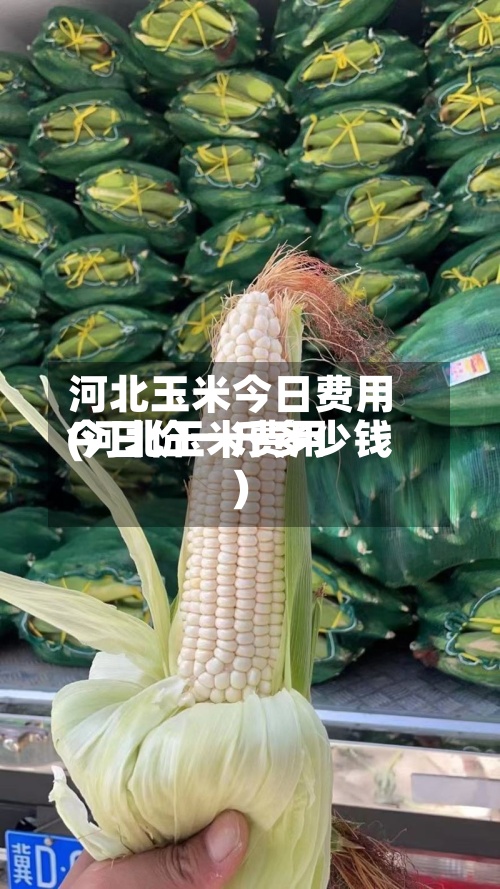 河北玉米今日费用
(河北玉米费用
今日价一斤多少钱)