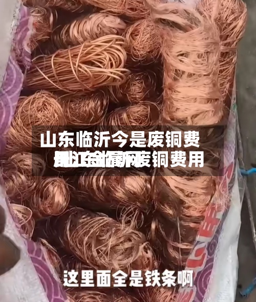 山东临沂今是废铜费用
/山东临沂废铜费用
长江金属网-第2张图片