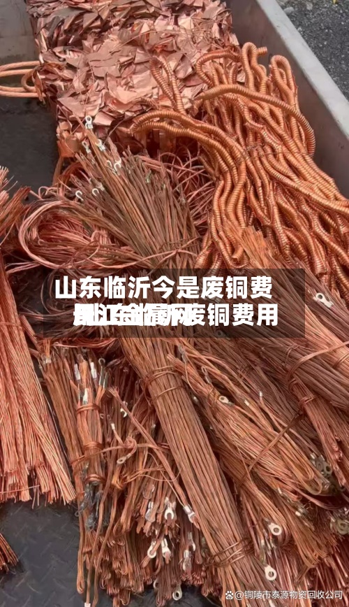 山东临沂今是废铜费用
/山东临沂废铜费用
长江金属网-第3张图片