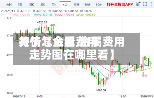 关于【金属费用
行情怎么看,金属费用
走势图在哪里看】-第3张图片