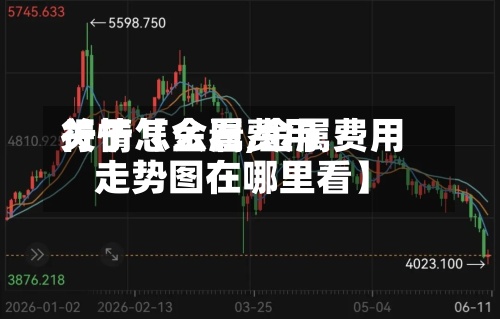 关于【金属费用
行情怎么看,金属费用
走势图在哪里看】