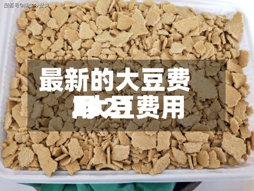 最新的大豆费用/大豆费用2021-第2张图片
