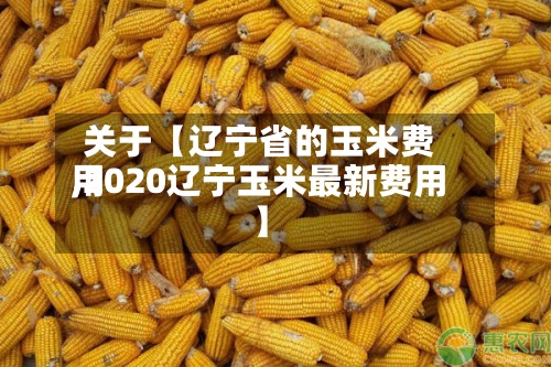 关于【辽宁省的玉米费用
,2020辽宁玉米最新费用
】