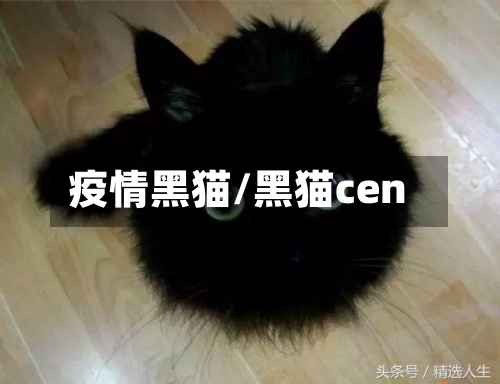 疫情黑猫/黑猫cen