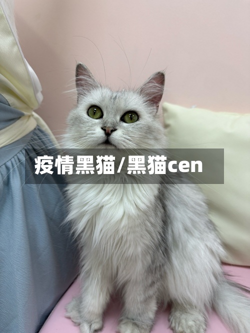 疫情黑猫/黑猫cen-第2张图片