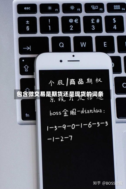包含微交易是期货还是现货的词条-第2张图片