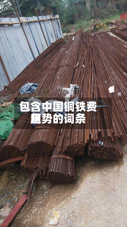 包含中国铜铁费用
趋势的词条