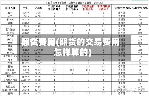 期货费用怎么计算(期货的交易费用怎样算的)-第2张图片