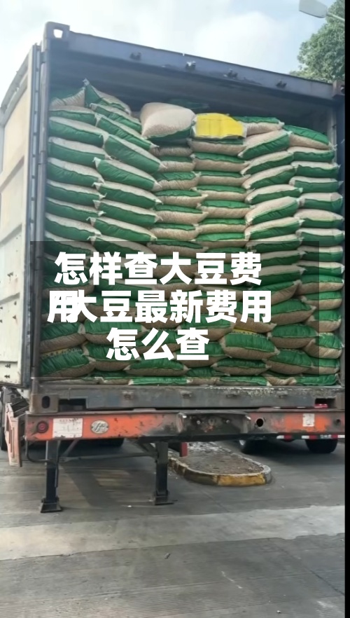 怎样查大豆费用
/大豆最新费用
怎么查