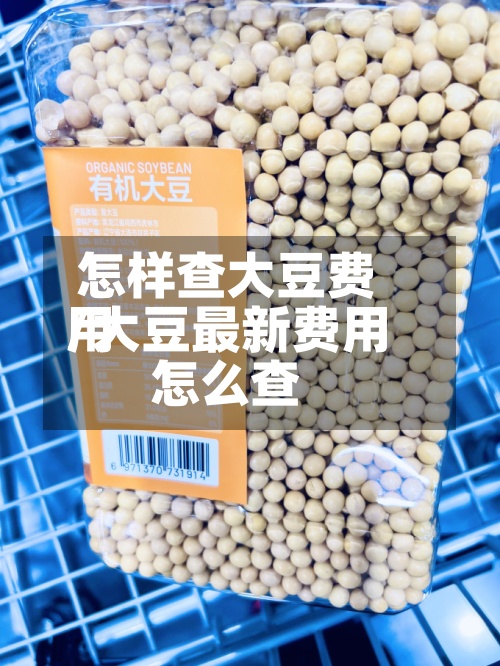 怎样查大豆费用/大豆最新费用怎么查-第2张图片