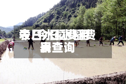 今日水稻费用
表/今日水稻费用
表查询