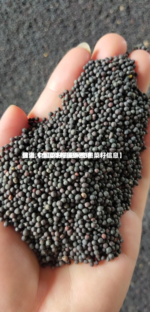 最近【全国菜籽最新费用信息,中国菜籽信息网免费菜籽信息】