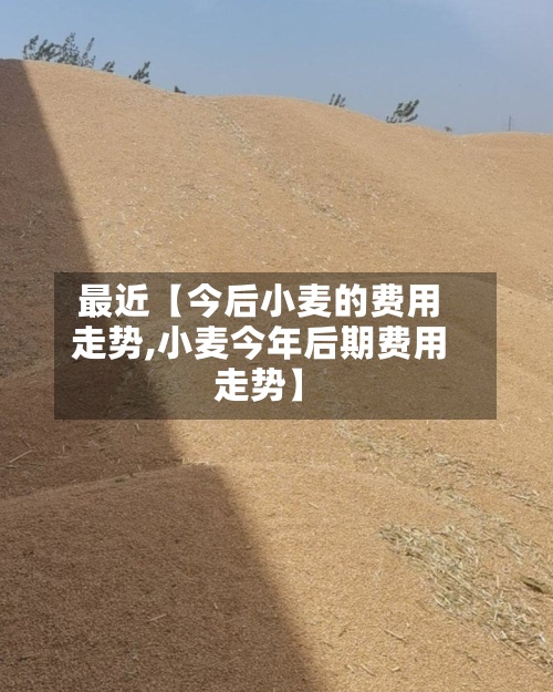 最近【今后小麦的费用
走势,小麦今年后期费用
走势】