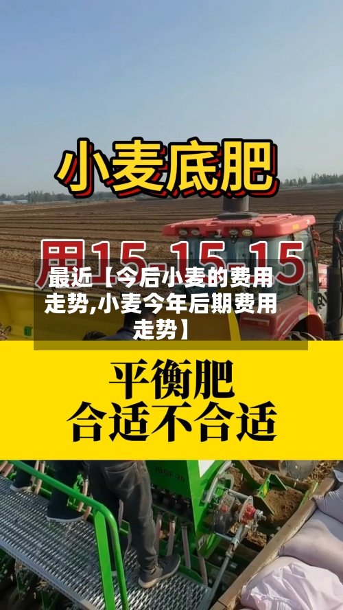 最近【今后小麦的费用走势,小麦今年后期费用走势】-第2张图片