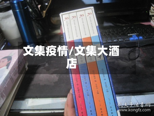 文集疫情/文集大酒店-第3张图片