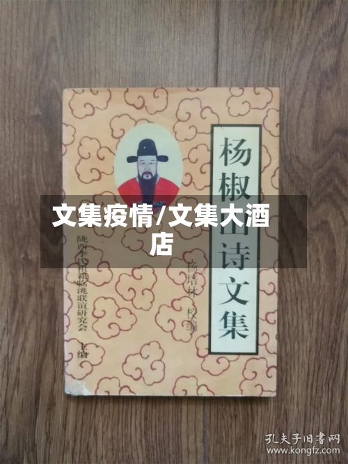文集疫情/文集大酒店-第2张图片