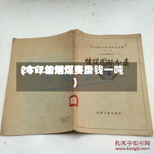 2017年烟煤费用
(今年的烟煤多少钱一吨)-第2张图片