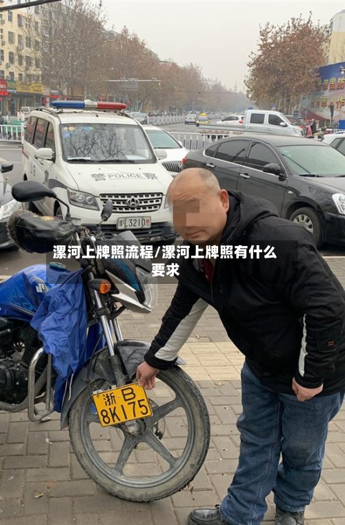 漯河上牌照流程/漯河上牌照有什么要求