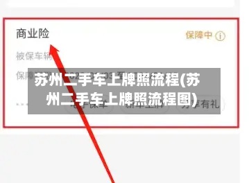苏州二手车上牌照流程(苏州二手车上牌照流程图)-第2张图片