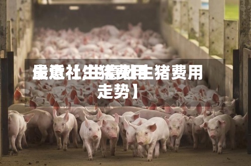 最近【生猪费用
生意社,生意社生猪费用
走势】