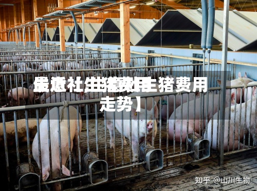 最近【生猪费用生意社,生意社生猪费用走势】-第2张图片