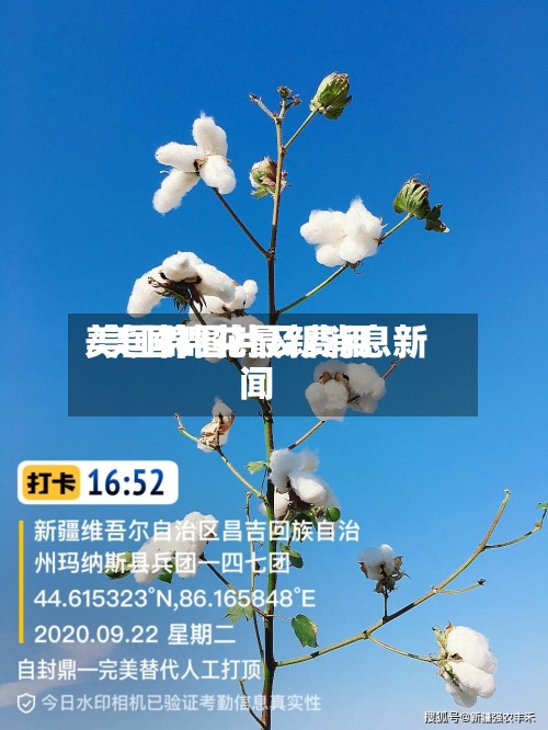 美国棉图片及费用
/美国棉花最新消息新闻