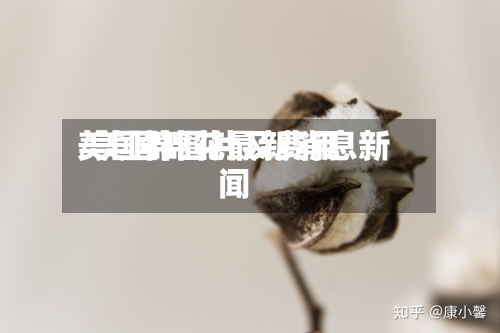 美国棉图片及费用/美国棉花最新消息新闻-第3张图片