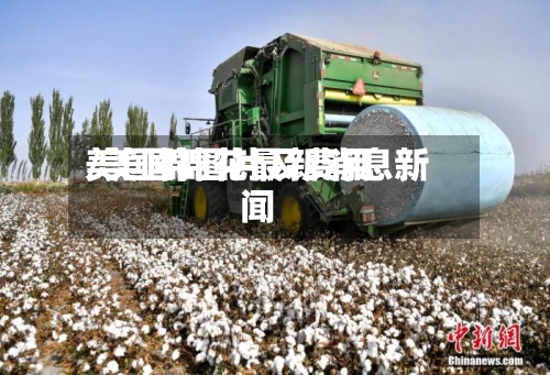 美国棉图片及费用/美国棉花最新消息新闻-第2张图片