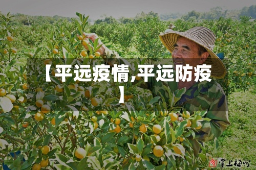 【平远疫情,平远防疫】-第2张图片