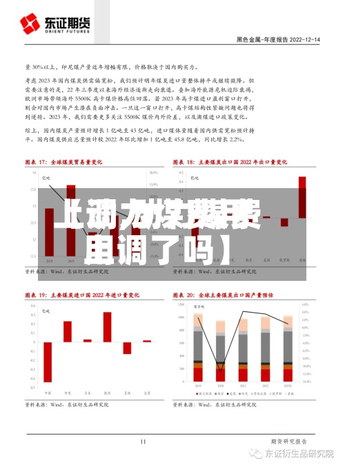 【动力煤费用
上调,动力煤费用
上调了吗】
