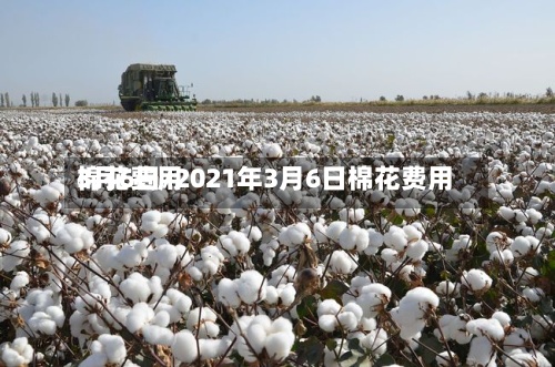 棉花费用
3月6日/2021年3月6日棉花费用
