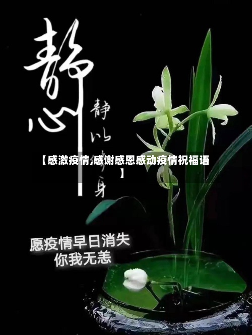【感激疫情,感谢感恩感动疫情祝福语】