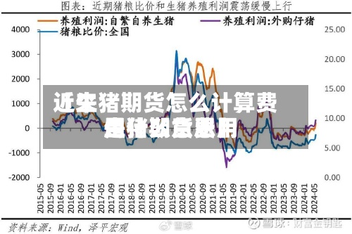 近来
【生猪期货怎么计算费用
生猪期货费用
是什么意思】