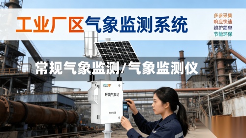 常规气象监测/气象监测仪