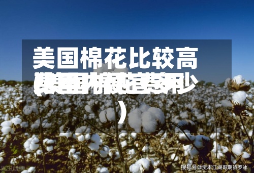 美国棉花比较高
费用
(美国棉花费用
比国内便宜多少)-第3张图片