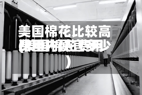 美国棉花比较高
费用
(美国棉花费用
比国内便宜多少)
