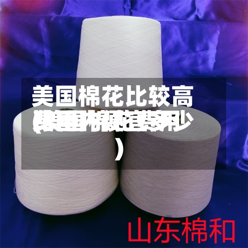 美国棉花比较高
费用
(美国棉花费用
比国内便宜多少)-第2张图片