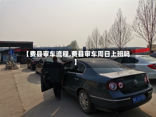 【费县审车流程,费县审车周日上班吗】-第2张图片