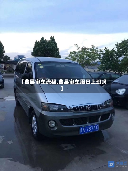【费县审车流程,费县审车周日上班吗】-第3张图片