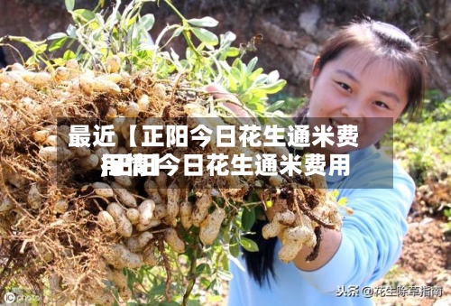 最近【正阳今日花生通米费用
,正阳今日花生通米费用
行情】