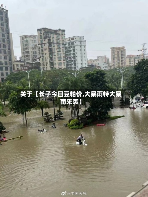 关于【长子今日豆粕价,大暴雨特大暴雨来袭】