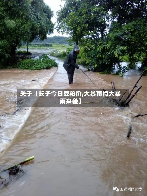 关于【长子今日豆粕价,大暴雨特大暴雨来袭】-第2张图片