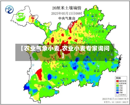 【农业气象小麦,农业小麦专家询问】-第2张图片