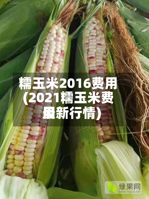 糯玉米2016费用(2021糯玉米费用最新行情)