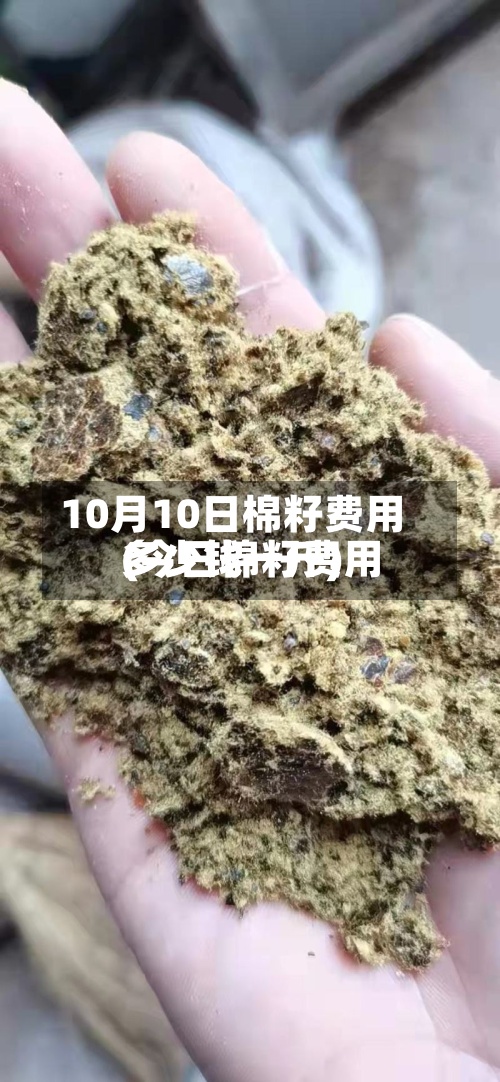 10月10日棉籽费用
(今日棉籽费用
多少钱一斤)-第2张图片